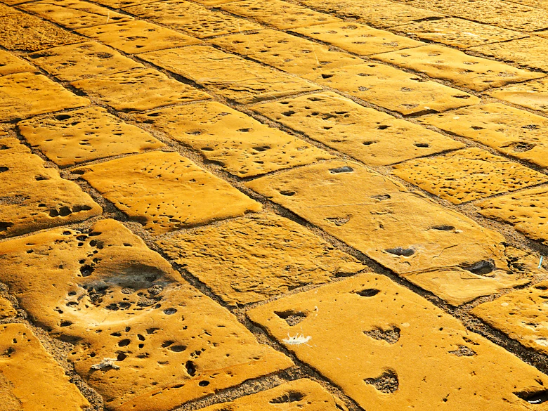 Wet-look sealer freshly down across weathered stone paving, deepening the color